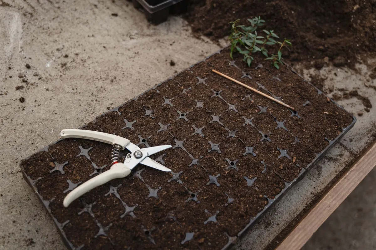 Norfolk's Spring Garden Checklist: What to Plant and When